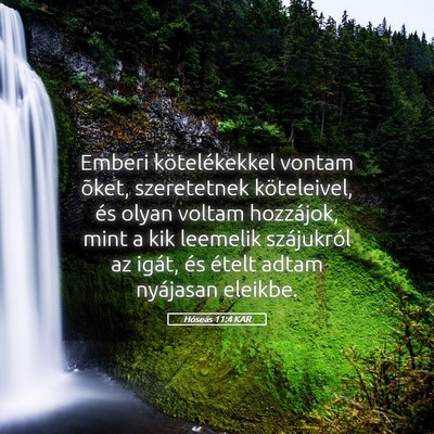 Picture 05 - Hóseás 11:4 KAR - Emberi kötelékekkel vontam õket, szeretetnek - Bible Verse Picture