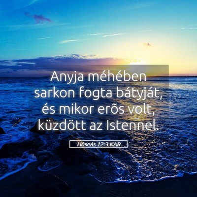 Picture 05 - Hóseás 12:3 KAR - Anyja méhében sarkon fogta bátyját, és mikor - Bible Verse Picture