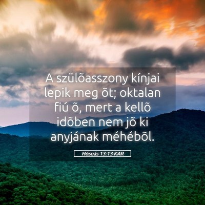 Picture 05 - Hóseás 13:13 KAR - A szülõasszony kínjai lepik meg õt; oktalan - Bible Verse Picture