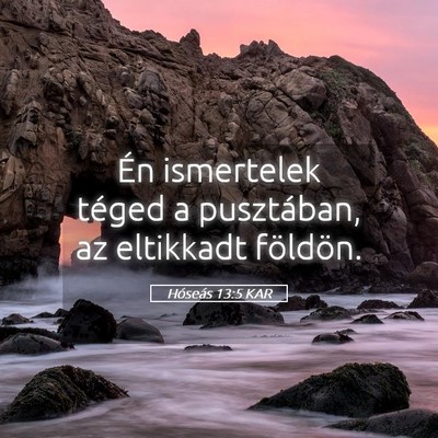 Picture 05 - Hóseás 13:5 KAR - Én ismertelek téged a pusztában, az eltikkadt - Bible Verse Picture