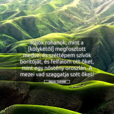 Picture 05 - Hóseás 13:8 KAR - Rájok rohanok, mint a [kölykétõl] megfosztott - Bible Verse Picture