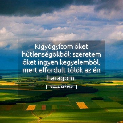 Picture 05 - Hóseás 14:5 KAR - Kigyógyítom õket hûtlenségökbõl; szeretem - Bible Verse Picture
