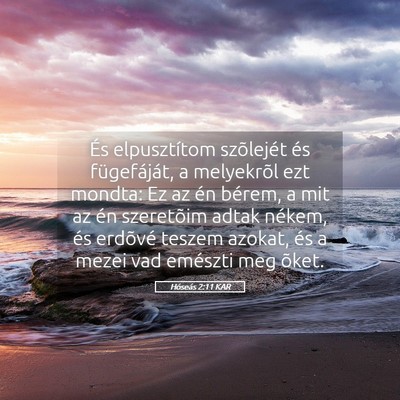 Picture 05 - Hóseás 2:11 KAR - És elpusztítom szõlejét és fügefáját, a - Bible Verse Picture