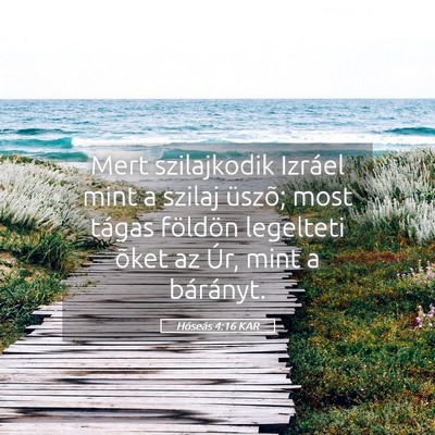 Picture 05 - Hóseás 4:16 KAR - Mert szilajkodik Izráel mint a szilaj üszõ; - Bible Verse Picture