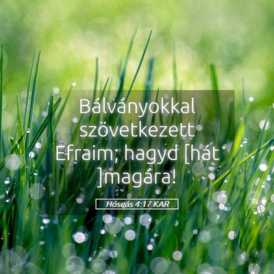 Picture 05 - Hóseás 4:17 KAR - Bálványokkal szövetkezett Efraim; hagyd [hát - Bible Verse Picture