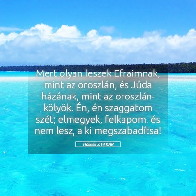 Picture 05 - Hóseás 5:14 KAR - Mert olyan leszek Efraimnak, mint az oroszlán, - Bible Verse Picture