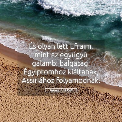 Picture 05 - Hóseás 7:11 KAR - És olyan lett Efraim, mint az együgyû galamb: - Bible Verse Picture