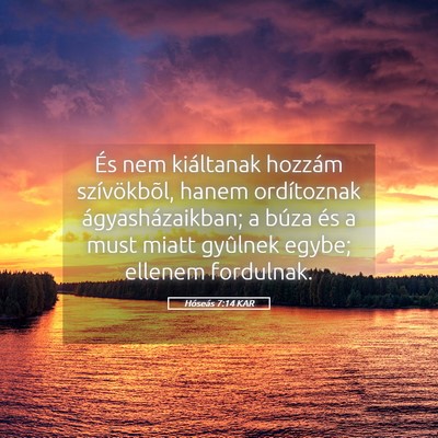 Picture 05 - Hóseás 7:14 KAR - És nem kiáltanak hozzám szívökbõl, hanem - Bible Verse Picture