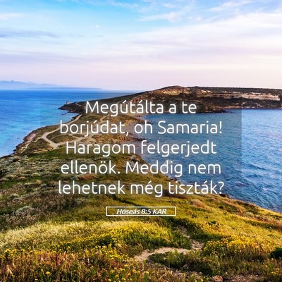Picture 05 - Hóseás 8:5 KAR - Megútálta a te borjúdat, oh Samaria! Haragom - Bible Verse Picture