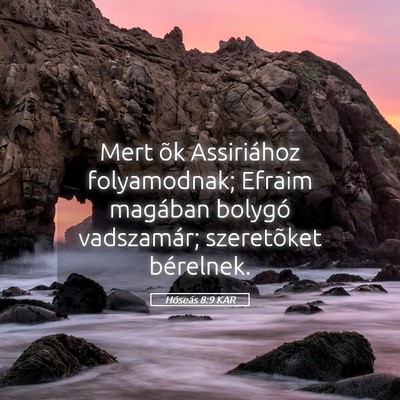 Picture 05 - Hóseás 8:9 KAR - Mert õk Assiriához folyamodnak; Efraim magában - Bible Verse Picture