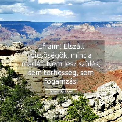 Picture 05 - Hóseás 9:11 KAR - Efraim! Elszáll dicsõségök, mint a madár! - Bible Verse Picture