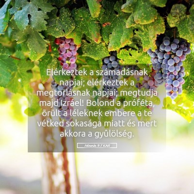 Picture 05 - Hóseás 9:7 KAR - Elérkeztek a számadásnak napjai; elérkeztek a - Bible Verse Picture