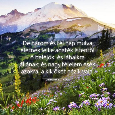 Picture 05 - Jelenések 11:11 KAR - De három és fél nap mulva életnek lelke - Bible Verse Picture
