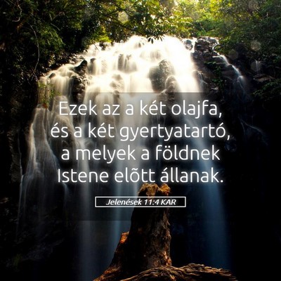 Picture 05 - Jelenések 11:4 KAR - Ezek az a két olajfa, és a két gyertyatartó, - Bible Verse Picture