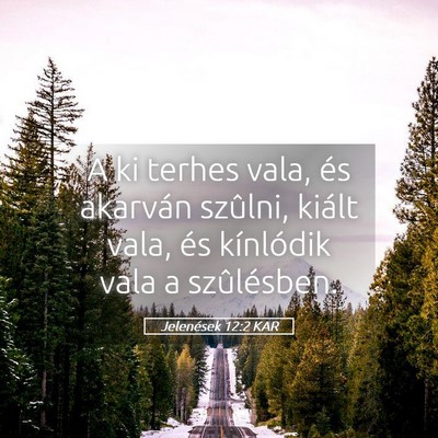 Picture 05 - Jelenések 12:2 KAR - A ki terhes vala, és akarván szûlni, kiált - Bible Verse Picture