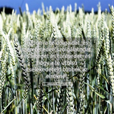 Picture 05 - Jelenések 2:19 KAR - Tudom a te dolgaidat, és szeretetedet, - Bible Verse Picture
