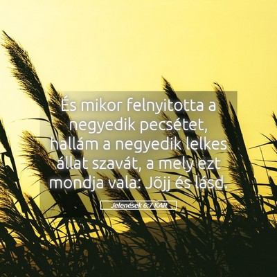 Picture 05 - Jelenések 6:7 KAR - És mikor felnyitotta a negyedik pecsétet, - Bible Verse Picture