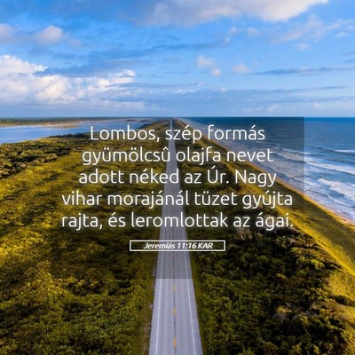 Picture 05 - Jeremiás 11:16 KAR - Lombos, szép formás gyümölcsû olajfa nevet - Bible Verse Picture