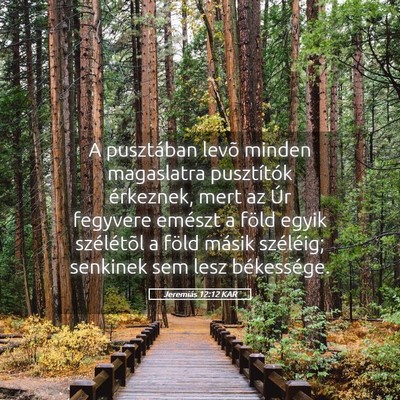 Picture 05 - Jeremiás 12:12 KAR - A pusztában levõ minden magaslatra pusztítók - Bible Verse Picture
