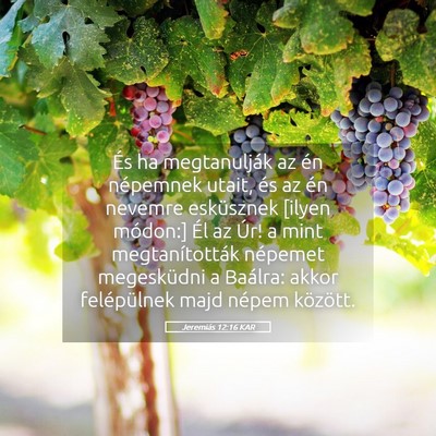 Picture 05 - Jeremiás 12:16 KAR - És ha megtanulják az én népemnek utait, és - Bible Verse Picture