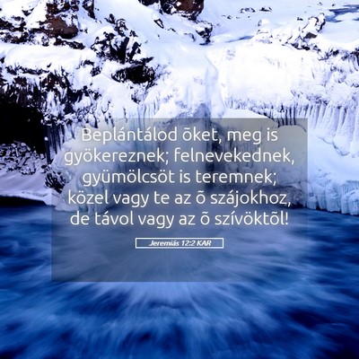 Picture 05 - Jeremiás 12:2 KAR - Beplántálod õket, meg is gyökereznek; - Bible Verse Picture