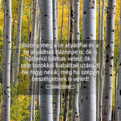 Picture 05 - Jeremiás 12:6 KAR - Bizony még a te atyádfiai és a te atyádnak - Bible Verse Picture
