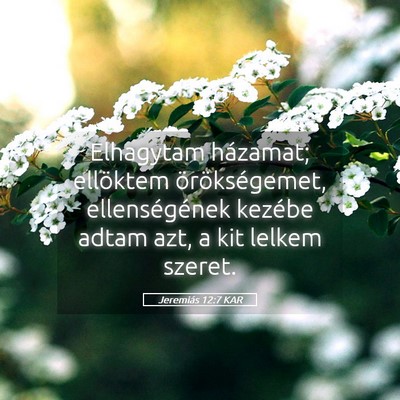 Picture 05 - Jeremiás 12:7 KAR - Elhagytam házamat; ellöktem örökségemet, - Bible Verse Picture
