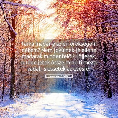 Picture 05 - Jeremiás 12:9 KAR - Tarka madár-é az én örökségem nékem? Nem - Bible Verse Picture