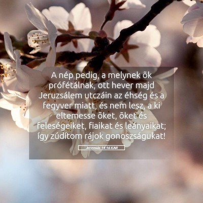 Picture 05 - Jeremiás 14:16 KAR - A nép pedig, a melynek õk prófétálnak, ott - Bible Verse Picture
