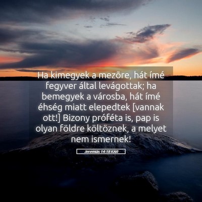 Picture 05 - Jeremiás 14:18 KAR - Ha kimegyek a mezõre, hát ímé fegyver által - Bible Verse Picture