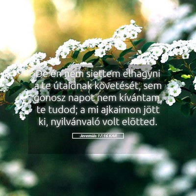 Picture 05 - Jeremiás 17:16 KAR - De én nem siettem elhagyni a te útaidnak - Bible Verse Picture
