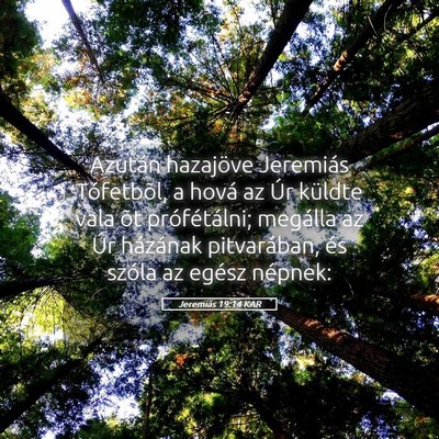 Picture 05 - Jeremiás 19:14 KAR - Azután hazajöve Jeremiás Tófetbõl, a hová - Bible Verse Picture