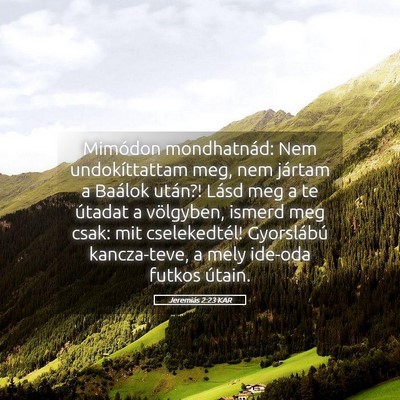 Picture 05 - Jeremiás 2:23 KAR - Mimódon mondhatnád: Nem undokíttattam meg, nem - Bible Verse Picture