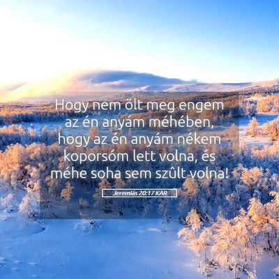 Picture 05 - Jeremiás 20:17 KAR - Hogy nem ölt meg engem az én anyám méhében, - Bible Verse Picture