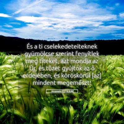 Picture 05 - Jeremiás 21:14 KAR - És a ti cselekedeteiteknek gyümölcse szerint - Bible Verse Picture
