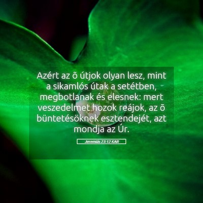 Picture 05 - Jeremiás 23:12 KAR - Azért az õ útjok olyan lesz, mint a sikamlós - Bible Verse Picture