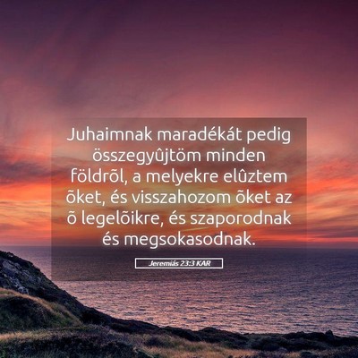 Picture 05 - Jeremiás 23:3 KAR - Juhaimnak maradékát pedig összegyûjtöm - Bible Verse Picture
