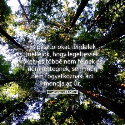 Picture 05 - Jeremiás 23:4 KAR - És pásztorokat rendelek melléjök, hogy - Bible Verse Picture
