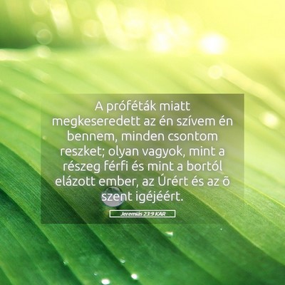 Picture 05 - Jeremiás 23:9 KAR - A próféták miatt megkeseredett az én szívem - Bible Verse Picture