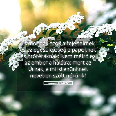 Picture 05 - Jeremiás 26:16 KAR - És mondák azok a fejedelmek és az egész - Bible Verse Picture