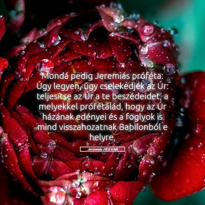 Picture 05 - Jeremiás 28:6 KAR - Mondá pedig Jeremiás próféta: Úgy legyen, - Bible Verse Picture