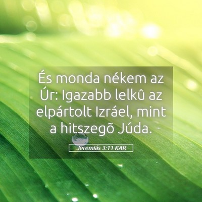 Picture 05 - Jeremiás 3:11 KAR - És monda nékem az Úr: Igazabb lelkû az - Bible Verse Picture
