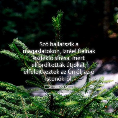 Picture 05 - Jeremiás 3:21 KAR - Szó hallatszik a magaslatokon, Izráel fiainak - Bible Verse Picture
