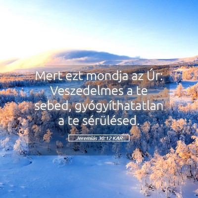 Picture 05 - Jeremiás 30:12 KAR - Mert ezt mondja az Úr: Veszedelmes a te sebed, - Bible Verse Picture