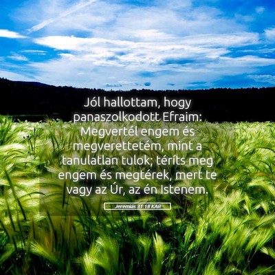 Picture 05 - Jeremiás 31:18 KAR - Jól hallottam, hogy panaszolkodott Efraim: - Bible Verse Picture