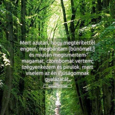 Picture 05 - Jeremiás 31:19 KAR - Mert azután, hogy megtérítettél engem, - Bible Verse Picture
