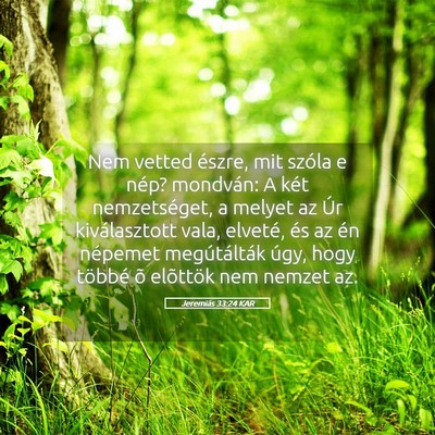 Picture 05 - Jeremiás 33:24 KAR - Nem vetted észre, mit szóla e nép? mondván: A - Bible Verse Picture