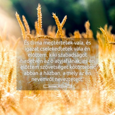 Picture 05 - Jeremiás 34:15 KAR - És ti ma megtértetek vala, és igazat - Bible Verse Picture