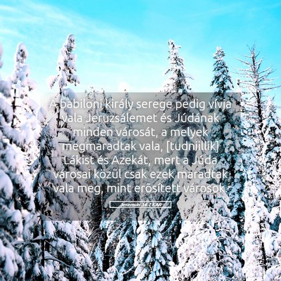 Picture 05 - Jeremiás 34:7 KAR - A babiloni király serege pedig vívja vala - Bible Verse Picture