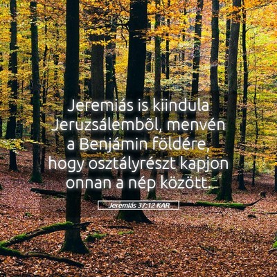 Picture 05 - Jeremiás 37:12 KAR - Jeremiás is kiindula Jeruzsálembõl, menvén a - Bible Verse Picture